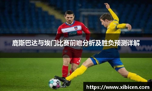 EMC易倍体育官方网站